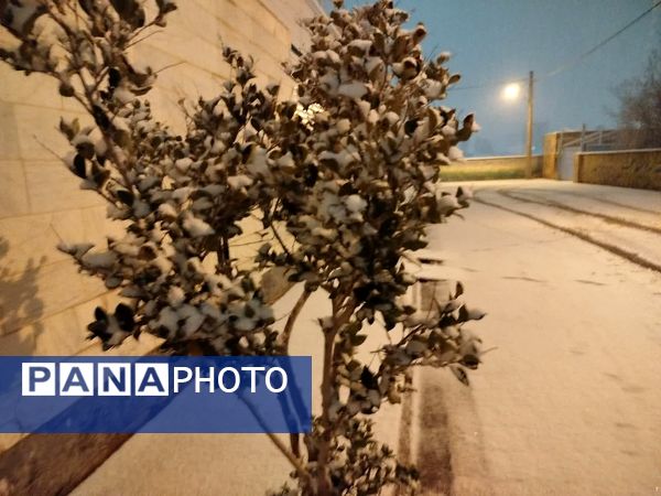 برف میهمان کاشمر شد