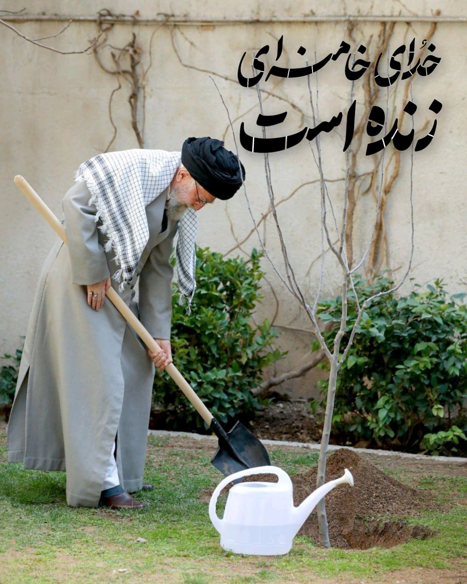 نهال‌هایی که ایران را زنده نگه می‌دارند