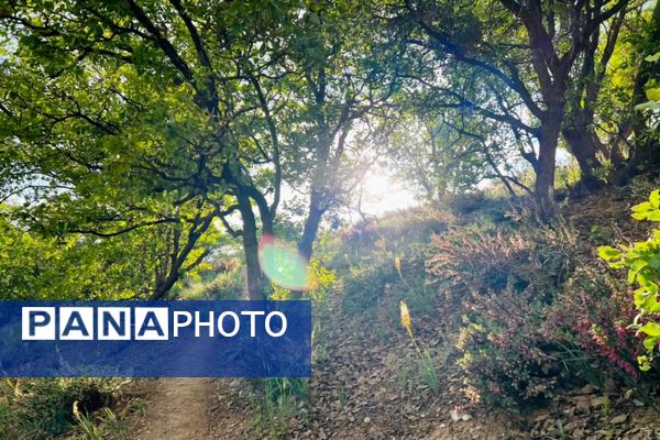 جلوه‌های بهاری طبیعت یاسوج