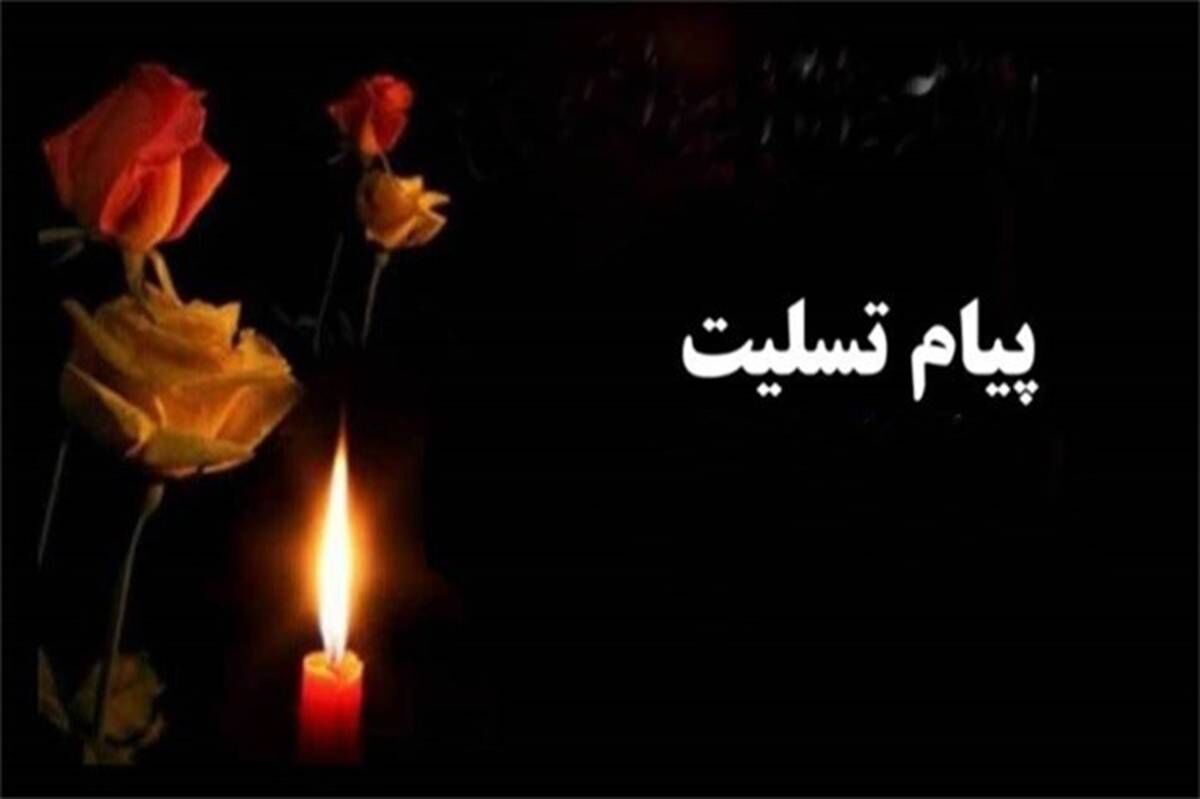 پیام تسلیت مدیر آموزش‌وپرورش در پی شهادت دانش‌آموز اندیمشکی