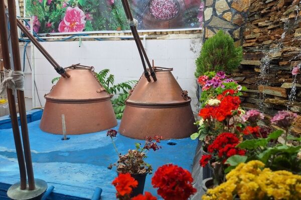 آخرین روزهای فصل گلاب‌گیری در کاشان؛ از دیگ‌های مسی تا شیشه‌های گلاب