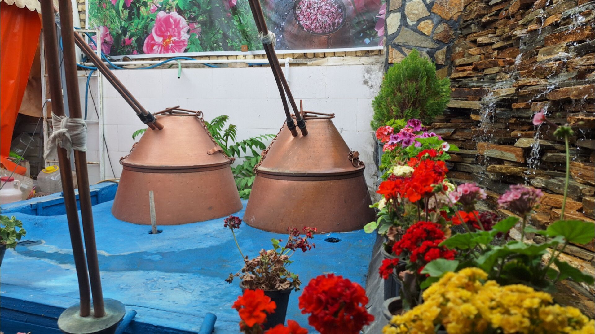 آخرین روزهای فصل گلاب‌گیری در کاشان؛ از دیگ‌های مسی تا شیشه‌های گلاب