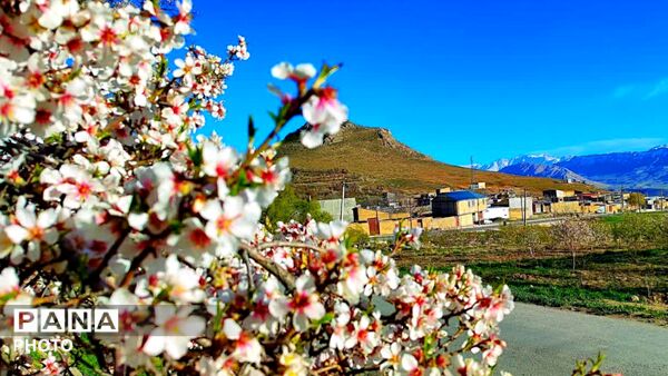قلعه‌تک در اردیبهشت؛ جادوی باران و شکوفه