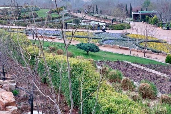 باغ گل ها در شهر گل ها شیراز