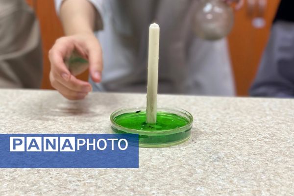 گامی در مسیر کشف حقیقت