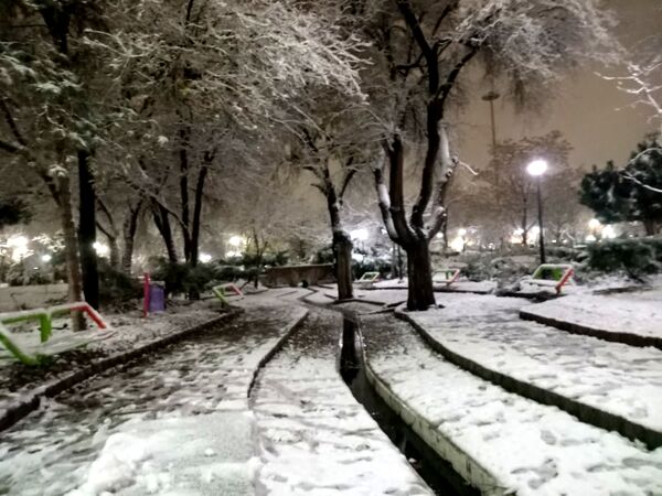بارش برف در مشهد