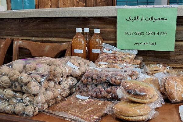 حمایت از کسب وکار بانوان کار آفرین در دماوند
