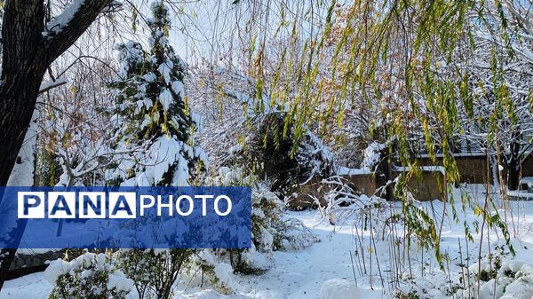 بارش برف جلوه ای از نعمت الهی در روزهای سفید باخرز