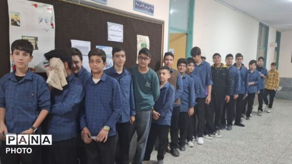 انتخابات همیار مشاور در مدارس استان لرستان