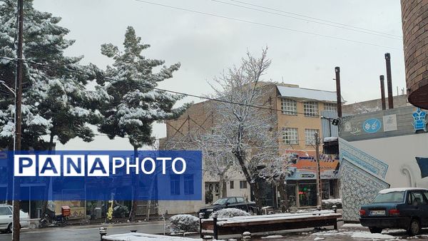بارش دل‌انگیز برف‌ در اولین روزهای بهمن ماه