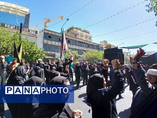 مشهدالرضا غرق ماتم شد