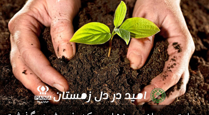 امید در دل زمستان ؛ روایتی برای روزهایی که نمیشود گذشت 