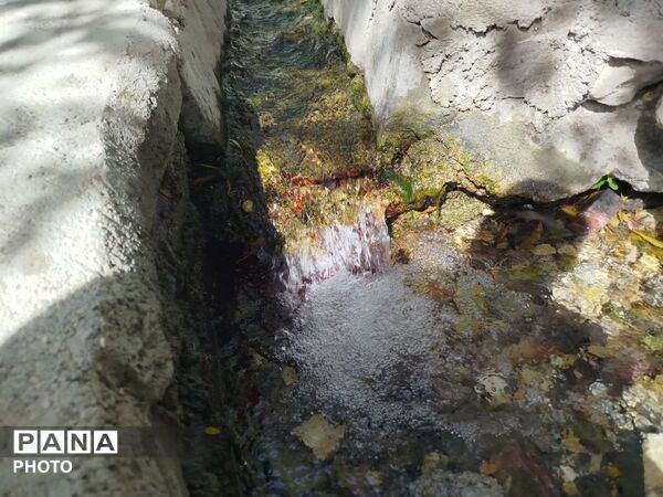 جلوه‌گریِ رنگ‌های پاییزی و طراوت چشمه در تفریحگاه «پیر خوشدر» کلاته‌رودبار