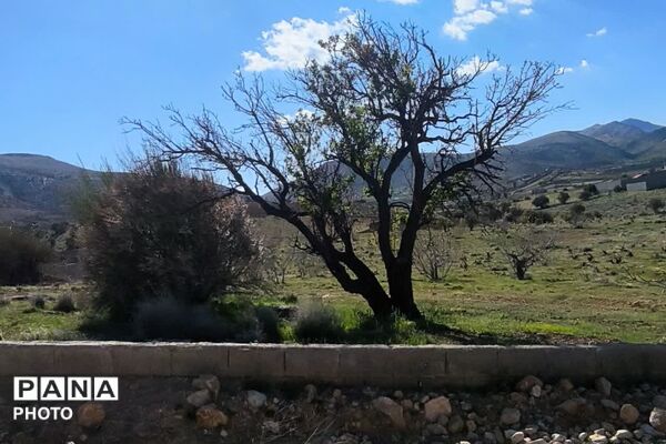 تصاویری از طبیعت زیبا و دیدنی روستای بردج