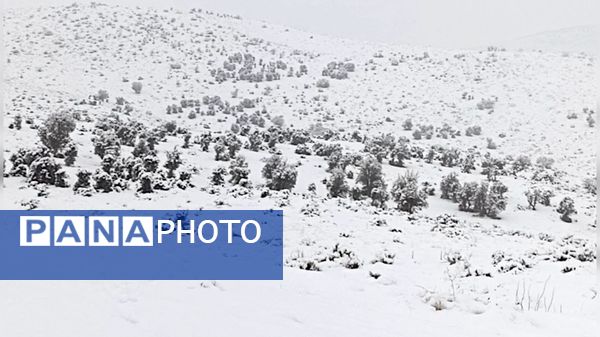 صبحی که خورشید جایش را به برف داد