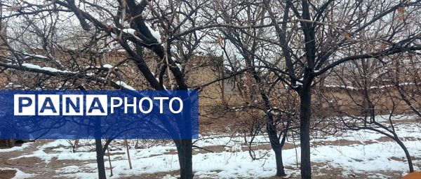 زمستان در بهار روستای استای تایباد