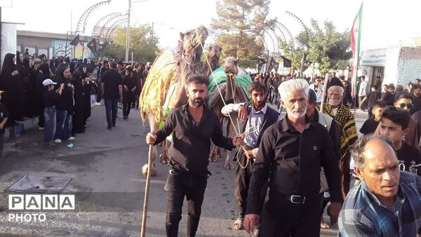 بنی اسد در فدافن،تجلی نام و نشان حضرت زینب (س) در روز دوازدهم محرم