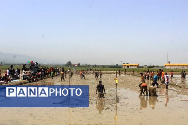 جشنواره فرهنگی و ورزشی بازی‌های شالیزاری در گلوگاه 