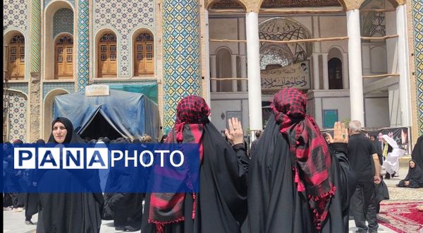 دل‌های جامانده، گرد حرم سلطان علی(ع) در مشهد اردهال به شور افتادند