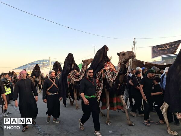 از موکب های بر مدار ایثار تا کاروان های لبریز از شور؛ روایتی از میزبانی خدام عراقی در اربعین حسینی