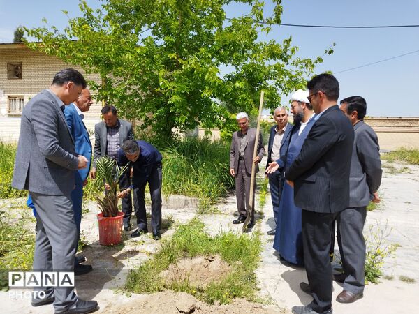 ۴ اصل نخل؛ نماد پاسداشت شهیدان و همدلی در منطقه شیب‌کوه 