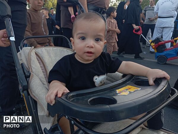 کوچک‌ترین زائران در مسیر دلدادگی 