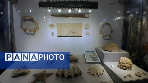 موزه آستان مقدس عتبه حسینی و عباسیه