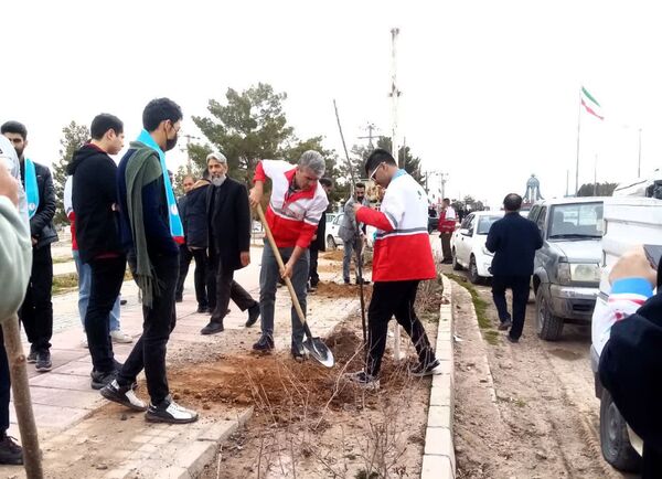 روز درختکاری در تربت جام