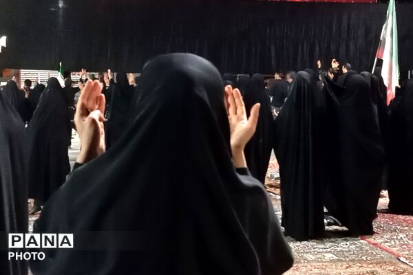 از کربلا تا ایران؛ عزاداران حسینی با پرچم ایران، پیام وحدت و استقامت را فریاد زدند
