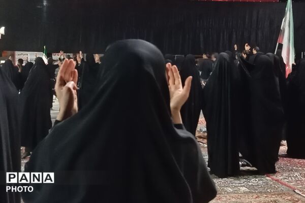 از کربلا تا ایران؛ عزاداران حسینی با پرچم ایران، پیام وحدت و استقامت را فریاد زدند