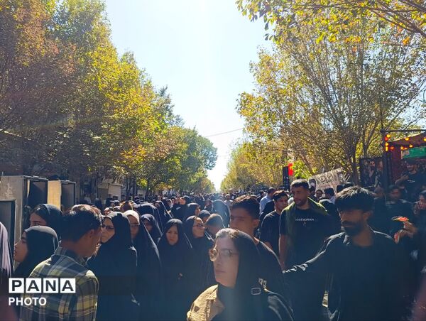 خدمت‌رسانی موکب ها در ایام شهادت حضرت معصومه(س)
