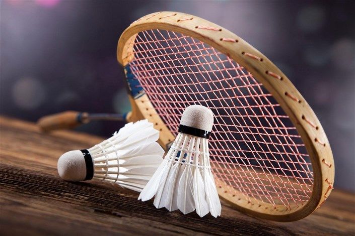 بررسی وضعیت فدراسیون‌های ورزش‌های سه‌گانه و بدمینتون با حضور دنیامالی