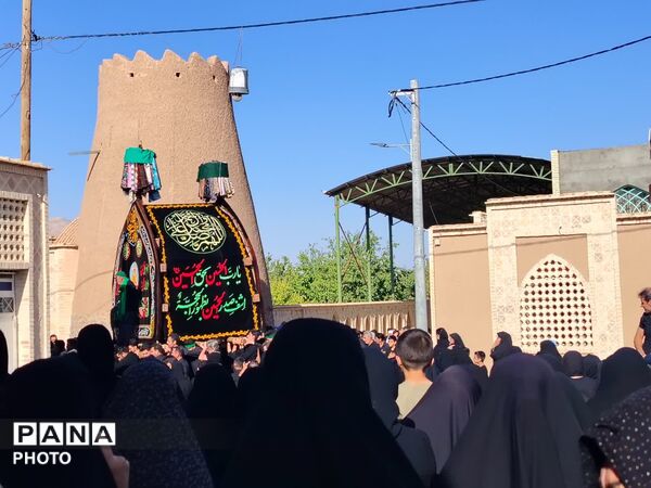 نخل‌برداری روز عاشورا در روستای صالح آباد شهرستان تفت