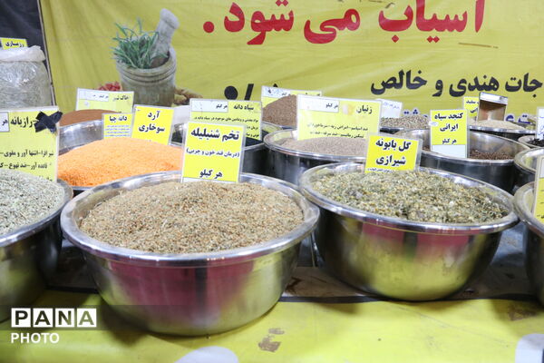 جشنواره انار تفت؛ پیوند کشاورزی، فرهنگ و گردشگری
