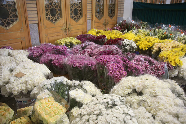 گل آرایی ضریح مطهر حضرت معصومه(س) به مناسبت روز دختر