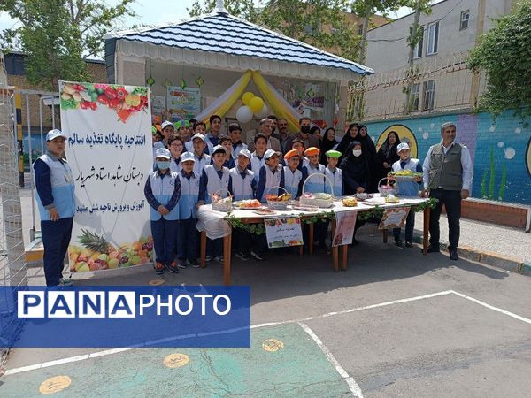 افتتاح پایگاه تغذیه سالم دبستان شاهد استاد شهریار ناحیه ۶ مشهد
