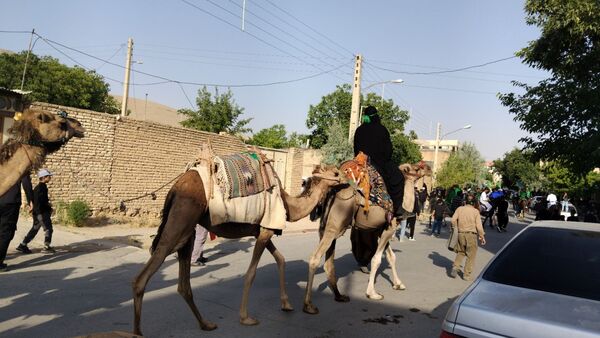 علم‌ گردانی آیین‌ هر ساله‌ شهر وردنجان