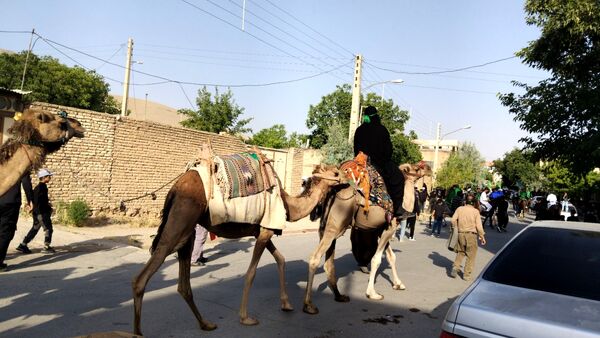 علم‌ گردانی آیین‌ هر ساله‌ شهر وردنجان