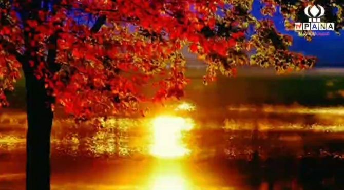 پاییز؛ فصل رقص برگ‌ها و هزار رنگ دلنشین