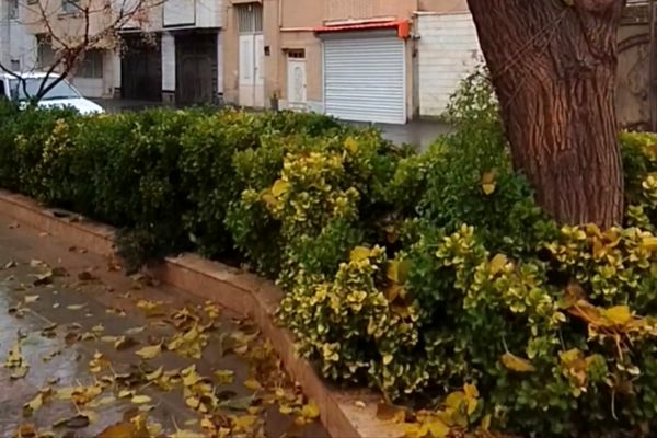 جلوه هایی از باران پاییزی در کاشمر