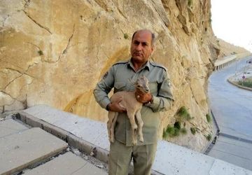 دومین قاتل شهید دیده‌بان دستگیر شد