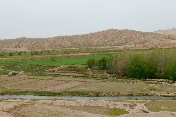 بهار، آغاز دوباره‌ی زندگی طبیعت 