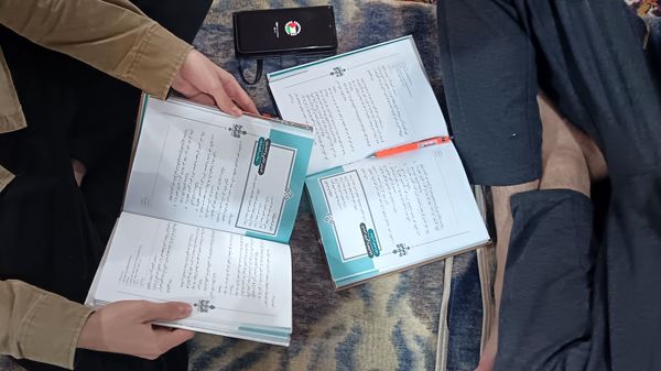 سه روز در حالت پرواز