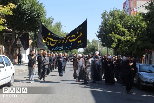 جاماندگان اربعین در ملکان؛ هم‌قدمی با کاروان عشق حسینی