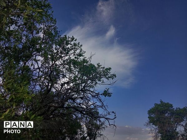 طبیعت چشم نواز روستای دهنو