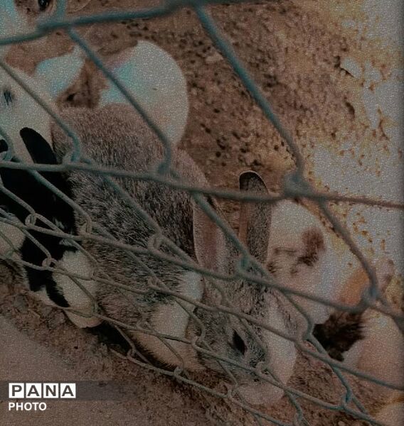 بازدید خبرنگاران پانا جلگه رخ از تربت حیدریه و آشنایی با میراث تاریخی و طبیعی 