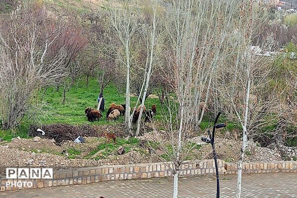 حال هوای شهر بار نیشابور بعد از بارش باران زیبا