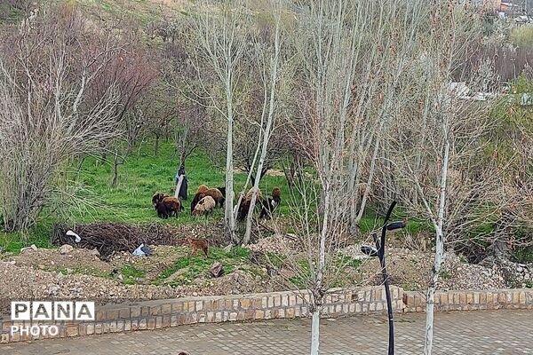 حال هوای شهر بار نیشابور بعد از بارش باران زیبا