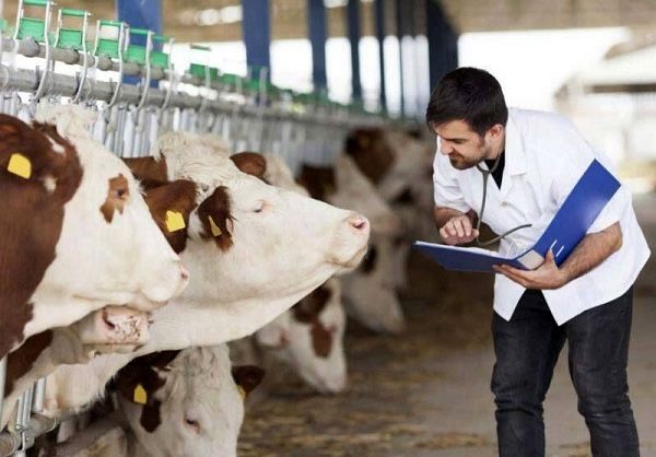 دامپزشکی؛حلقه اتصال سلامت حیوان،انسان و محیط‌زیست است