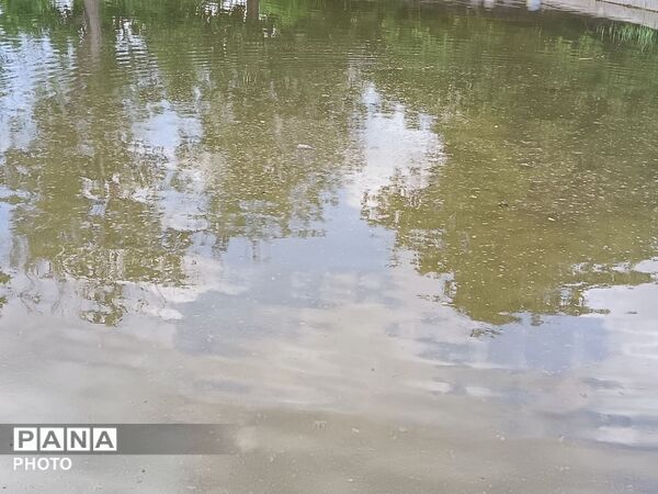 طبیعت در دل روستای برزنون،حال و هوای این دیار از قاب پانا